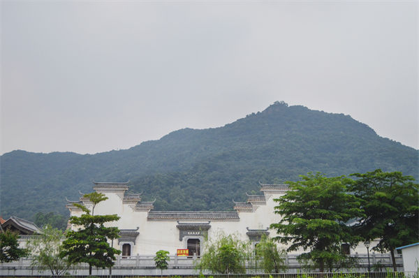 佛山組織規(guī)劃咨詢公司如何優(yōu)化企業(yè)人才梯隊(duì)建設(shè)？