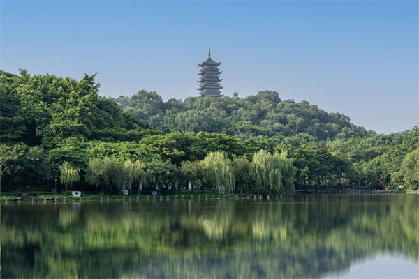 如何評(píng)估佛山集團(tuán)管控咨詢公司的服務(wù)質(zhì)量和效果？