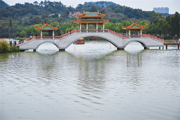 供應(yīng)鏈斷鏈頻發(fā)、交付延遲嚴重，肇慶供應(yīng)鏈咨詢公司能解嗎？